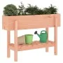 Hochbeet aus Massivholz Douglasie 101x30x69 cm von vidaXL, Töpfe und Pflanzgefäße - Ref: Foro24-825245, Preis: 75,59 €, Rabat...