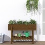 Hochbeet Zirbenholz honigbraun 101x30x69 cm von vidaXL, Töpfe und Pflanzgefäße - Ref: Foro24-825243, Preis: 76,79 €, Rabatt: %