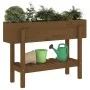 Hochbeet Zirbenholz honigbraun 101x30x69 cm von vidaXL, Töpfe und Pflanzgefäße - Ref: Foro24-825243, Preis: 75,79 €, Rabatt: %