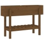 Hochbeet Zirbenholz honigbraun 101x30x69 cm von vidaXL, Töpfe und Pflanzgefäße - Ref: Foro24-825243, Preis: 76,79 €, Rabatt: %
