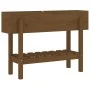 Hochbeet Zirbenholz honigbraun 101x30x69 cm von vidaXL, Töpfe und Pflanzgefäße - Ref: Foro24-825243, Preis: 75,79 €, Rabatt: %