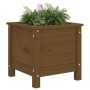 Jardinera madera maciza de pino marrón miel 40x40x39 cm de vidaXL, Maceteros y jardineras - Ref: Foro24-825250, Precio: 60,03...