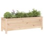 Hochbeet aus massivem Kiefernholz, 119,5 x 40 x 39 cm von vidaXL, Töpfe und Pflanzgefäße - Ref: Foro24-825261, Preis: 97,25 €...