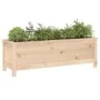 Hochbeet aus massivem Kiefernholz, 119,5 x 40 x 39 cm von vidaXL, Töpfe und Pflanzgefäße - Ref: Foro24-825261, Preis: 90,23 €...