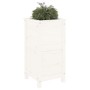 Pflanzgefäß aus massivem Kiefernholz weiß 40x40x78 cm von vidaXL, Töpfe und Pflanzgefäße - Ref: Foro24-825276, Preis: 79,93 €...