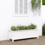 Hochbeet Zirbenholz weiß 119,5x40x39 cm von vidaXL, Töpfe und Pflanzgefäße - Ref: Foro24-825262, Preis: 91,21 €, Rabatt: %