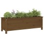 Raised garden bed honey brown pine wood 119.5x40x39cm by vidaXL, Pots and planters - Ref: Foro24-825264, Price: 103,84 €, Dis...