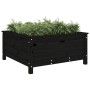 Jardinera madera maciza de pino negro 82,5x82,5x39 cm de vidaXL, Maceteros y jardineras - Ref: Foro24-825300, Precio: 105,51 ...