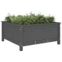 Solid gray pine wood planter 82.5x82.5x39 cm by vidaXL, Pots and planters - Ref: Foro24-825298, Price: 104,22 €, Discount: %