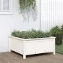 Pflanzgefäß aus massivem Kiefernholz weiß 82,5x82,5x39 cm von vidaXL, Töpfe und Pflanzgefäße - Ref: Foro24-825297, Preis: 77,...