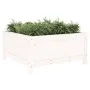 Solid pine wood planter 82.5x82.5x39 cm by vidaXL, Pots and planters - Ref: Foro24-825297, Price: 77,17 €, Discount: %