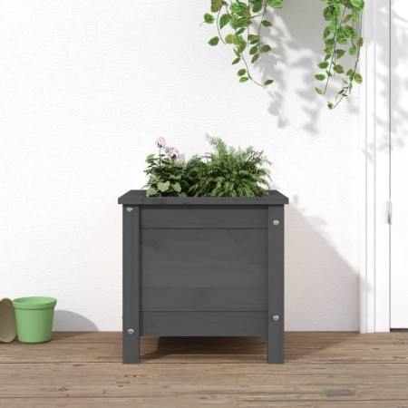 Solid gray pine wood planter 40x40x39 cm by vidaXL, Pots and planters - Ref: Foro24-825249, Price: 52,61 €, Discount: %