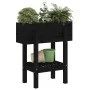 Jardinera madera maciza de pino negro 62x30x69 cm de vidaXL, Maceteros y jardineras - Ref: Foro24-825237, Precio: 55,93 €, De...