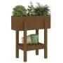 Solid pine wood planter in honey brown color, 62x30x69 cm by vidaXL, Pots and planters - Ref: Foro24-825236, Price: 57,46 €, ...