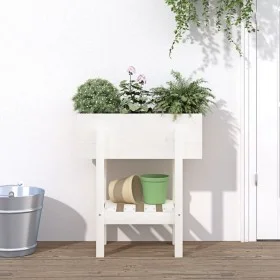 Solid pine wood planter 62x30x69 cm by vidaXL, Pots and planters - Ref: Foro24-825234, Price: 57,70 €, Discount: %
