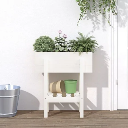 Pflanzgefäß aus massivem Kiefernholz weiß 62x30x69 cm von vidaXL, Töpfe und Pflanzgefäße - Ref: Foro24-825234, Preis: 57,70 €...