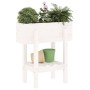Solid pine wood planter 62x30x69 cm by vidaXL, Pots and planters - Ref: Foro24-825234, Price: 58,48 €, Discount: %