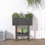 Solid gray pine wood planter 62x30x69 cm by vidaXL, Pots and planters - Ref: Foro24-825235, Price: 59,31 €, Discount: %