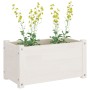 Jardineras 2 uds madera maciza de pino blanco 60x31x31 cm