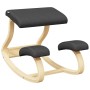 Taburete rodillas madera contrachapada abedul negro 48x71x51cm de vidaXL, Mecedoras - Ref: Foro24-110329, Precio: 121,80 €, D...
