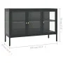 Anthracite gray steel and glass sideboard 105x35x70 cm by vidaXL, Sideboards - Ref: Foro24-336069, Price: 221,51 €, Discount: %