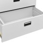 Hellgrauer Aktenschrank aus Stahl, 90 x 46 x 164 cm von vidaXL, Aktenschränke - Ref: Foro24-336299, Preis: 315,21 €, Rabatt: %