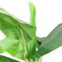 Árbol bananero artificial con macetero 300 cm verde