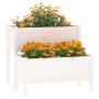 Solid pine wood planter 84.5x84x75 cm by vidaXL, Pots and planters - Ref: Foro24-822258, Price: 98,00 €, Discount: %