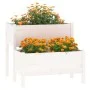 Solid pine wood planter 84.5x84x75 cm by vidaXL, Pots and planters - Ref: Foro24-822258, Price: 96,96 €, Discount: %