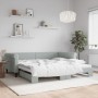 Sofá cama nido terciopelo gris claro 100x200 cm de vidaXL, Camas y somieres - Ref: Foro24-3197778, Precio: 272,21 €