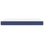 Colchón de muelles ensacados tela azul 80x200x20 cm de vidaXL, Colchones - Ref: Foro24-347680, Precio: 139,72 €, Descuento: %