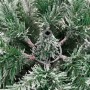 Árbol de Navidad artificial con bisagras y nieve flocada 150 cm