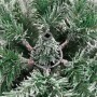 Árbol de Navidad artificial con bisagras y nieve flocada 210 cm