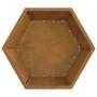 Hoguera Marrón 75 x 75 x 28 cm Acero oxidado