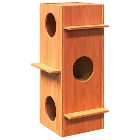 Casa para gatos cera marrón 43x43x90 cm madera maciza pino en Mobiliario para gatos | Comprar online en Foro24