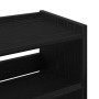 Mueble zapatero madera contrachapada negro 60x25x100 cm