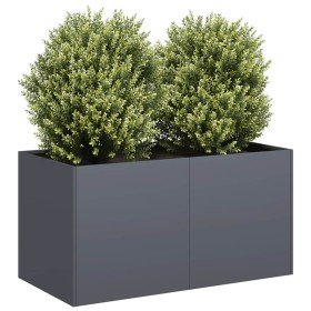 Jardinera de acero laminado en frío antracita 80x40x40 cm en Maceteros y jardineras | Comprar online en Foro24