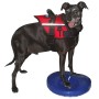 FitPAWS Pet Balance Disc Blau 36 cm von FitPAWS, Trainingsgeräte für Haustiere - Ref: Foro24-433818, Preis: 44,27 €, Rabatt: %