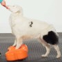 FitPAWS Plataforma de equilibrio mascotas K9FITbone naranja