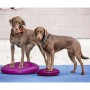 FitPAWS Disco de equilibrio para mascotas color frutos rojos 36