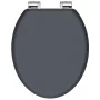 SCHÜTTE Toilet seat with soft close SPIRIT ATHRAZIT matte gray by SCHÜTTE, Toilet and bidet seats - Ref: Foro24-438738, Price...