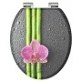 SCHÜTTE Asiento de inodoro con cierre suave ASIA de SCHÜTTE, Asientos de inodoros y bidés - Ref: Foro24-438742, Precio: 53,66...