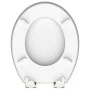 SCHÜTTE Toilettensitz mit Absenkautomatik, GRAUER STAHL, MDF mit Glanz von SCHÜTTE, Toiletten- und Bidetsitze - Ref: Foro24-4...