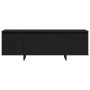 Gabinete de TV Negro 120 x 30 x 40.5 cm Madera contrachapada