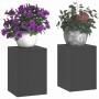 Soportes para plantas 2 pcs Negro 24 x 24 x 35 cm Acero
