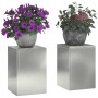 Soportes para plantas 2 pcs Plateado 24 x 24 x 35 cm