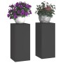 Soportes para plantas 2 pcs Negro 24 x 24 x 55 cm Acero
