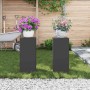 Soportes para plantas 2 pcs Negro 24 x 24 x 55 cm Acero