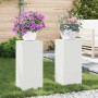 Soportes para plantas 2 pcs 24 x 24 x 55 cm Acero
