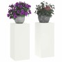 Soportes para plantas 2 pcs 24 x 24 x 55 cm Acero